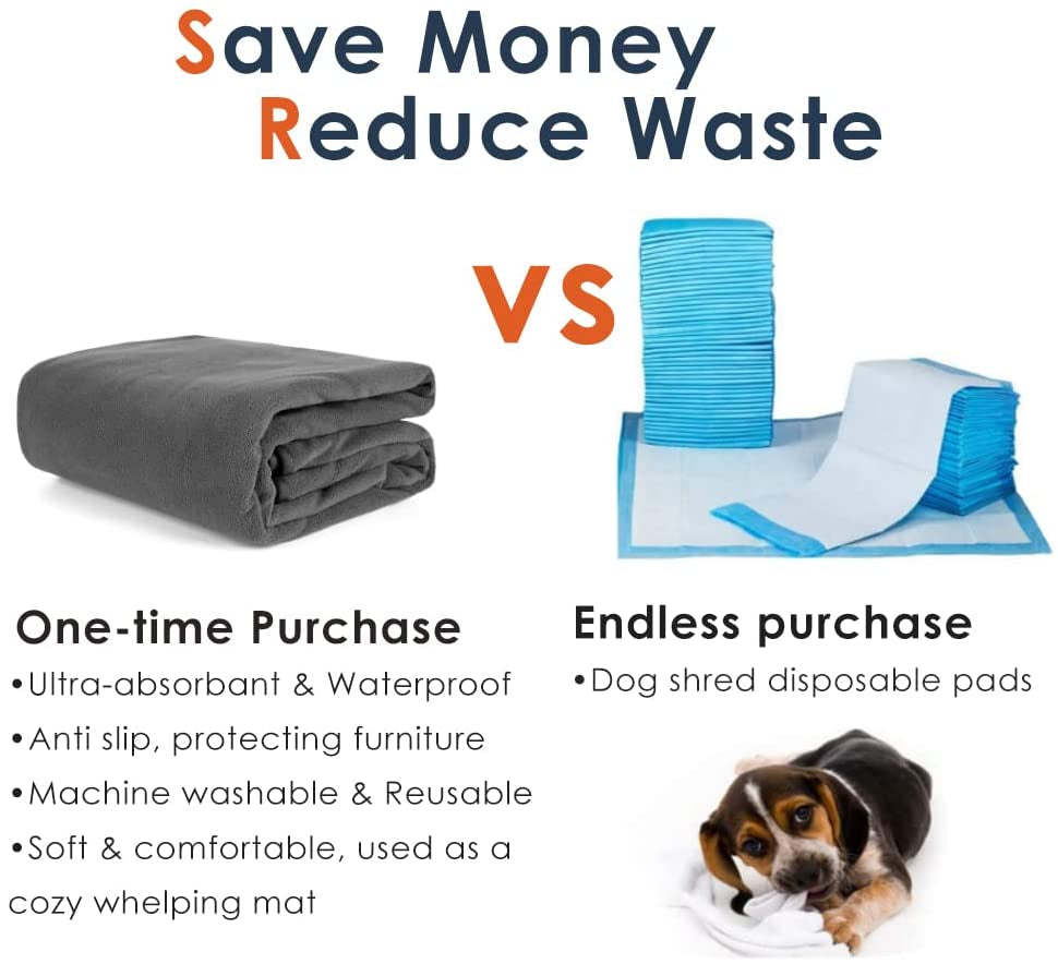 "Paw-sitively Gigantic Doggie Diapers: Washable Pee Pads for the Paws that Piddle!"