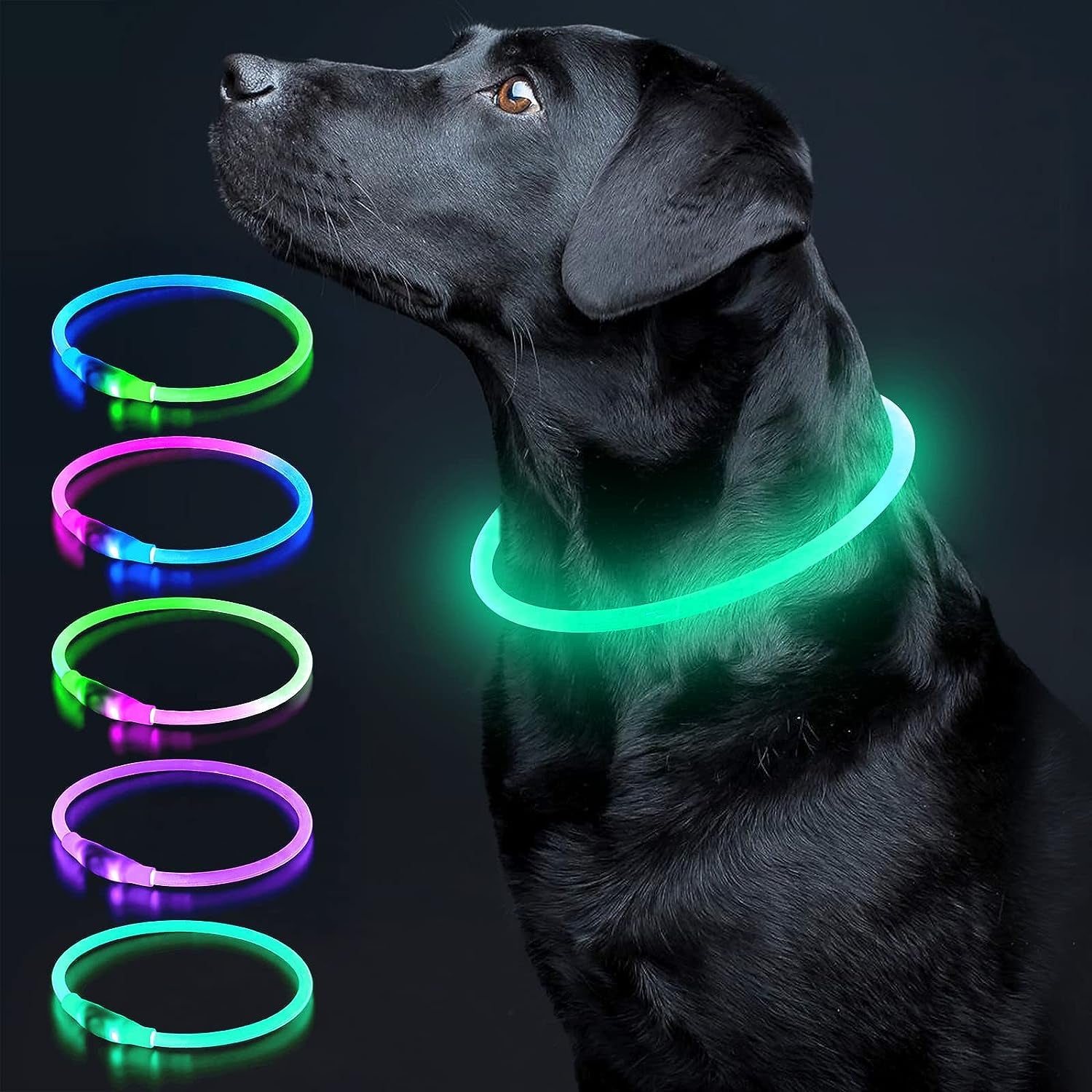 "Glow-in-the-Dark Doggy Disco Collar: Because Your Pup Deserves to Shine Brighter Than Your Ex's Future (Cyan Edition)"