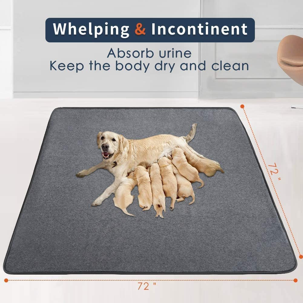 "Paw-sitively Gigantic Doggie Diapers: Washable Pee Pads for the Paws that Piddle!"