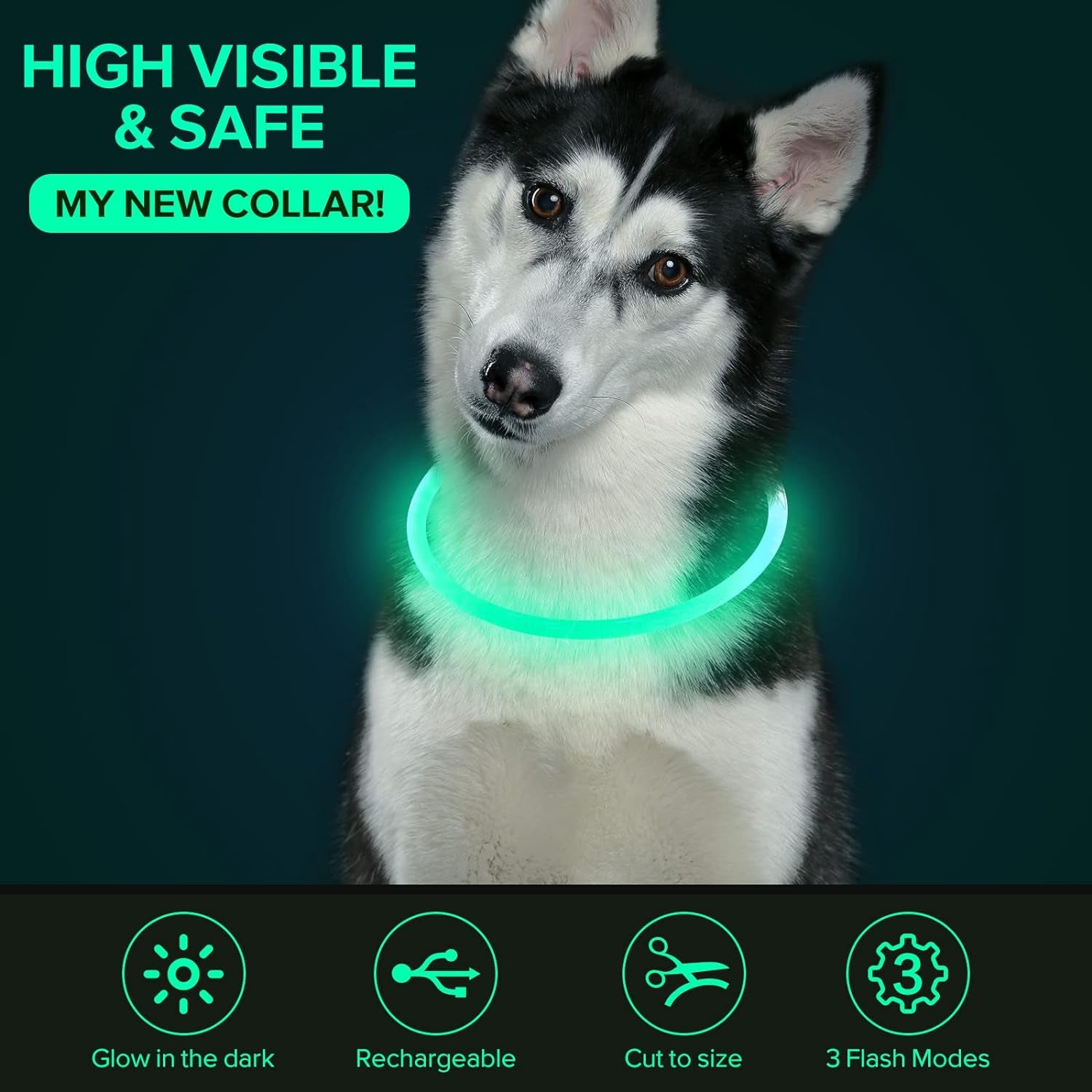 "Glow-in-the-Dark Doggy Disco Collar: Because Your Pup Deserves to Shine Brighter Than Your Ex's Future (Cyan Edition)"