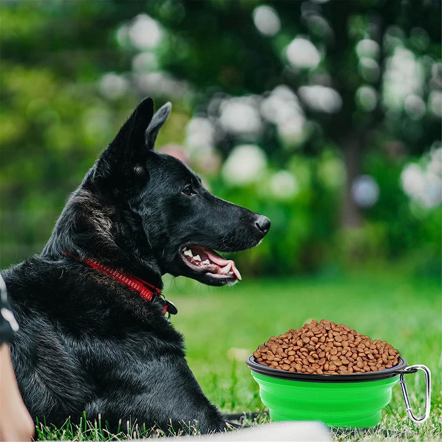 "Traveling Doggie Dining Set: The Ultimate Space-Saving Bowl for Picky Pooches and Feline Foodies on the Go (Large, Green - Because Who Wants Boring Colors?)"