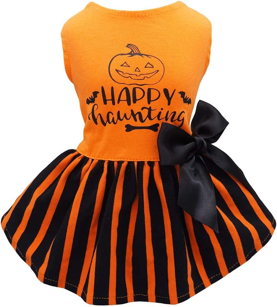 "Spooktacular Pup Couture: Orange Outfits for Furry Ghouls and Meow-velous Kitties!"