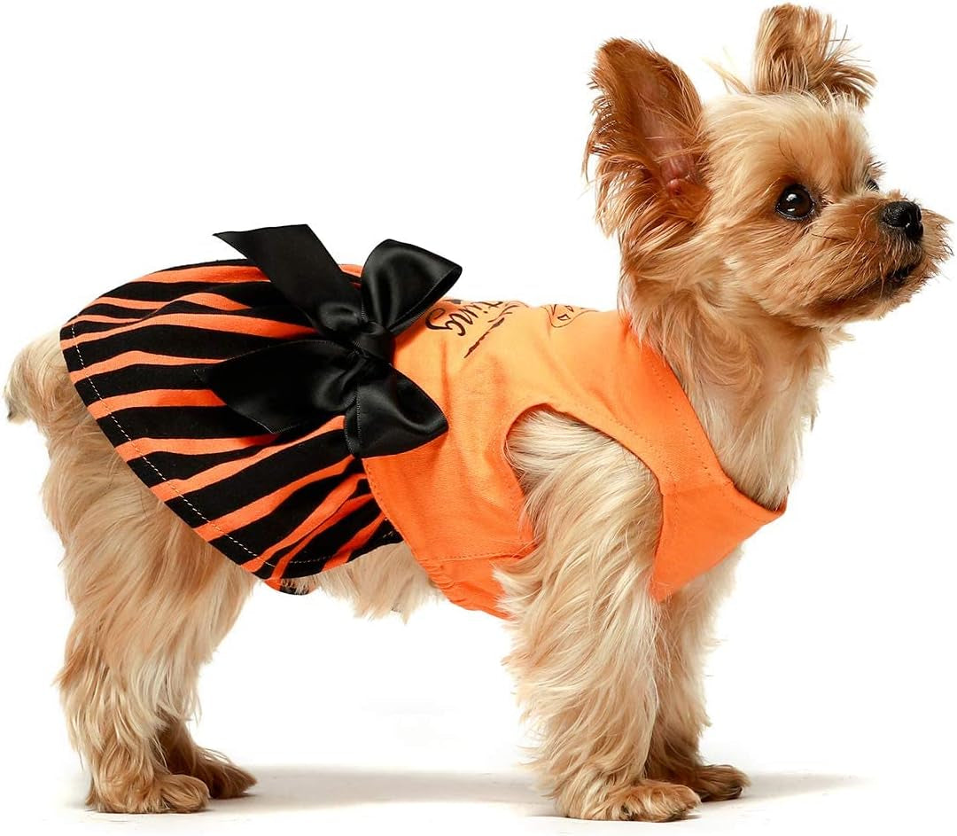 "Spooktacular Pup Couture: Orange Outfits for Furry Ghouls and Meow-velous Kitties!"