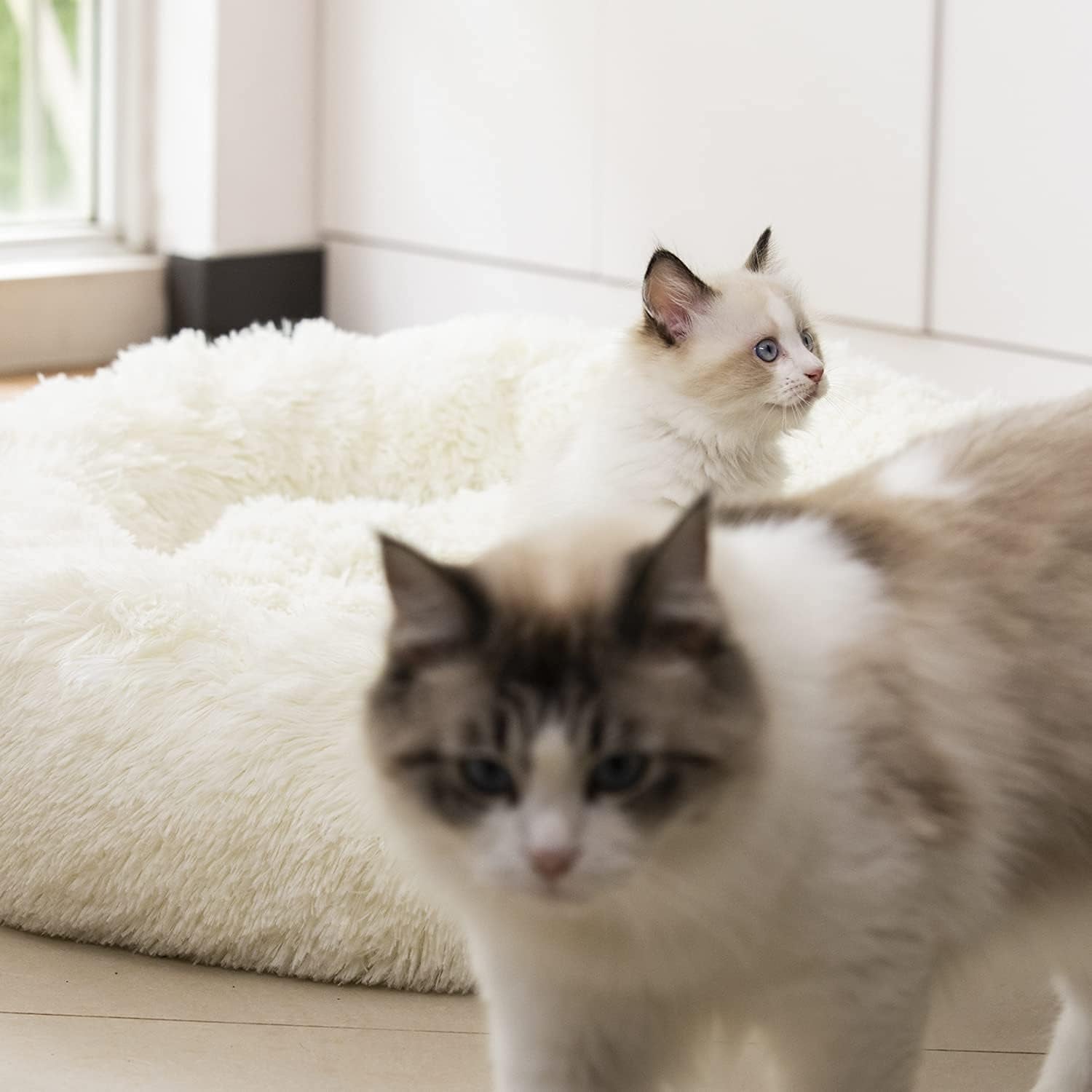 "Snuggle Cloud: The Fluffy Fortress of Furry Serenity for Pets Who Need a Nap and a Hug (20"/24"/27''), (27", White)"