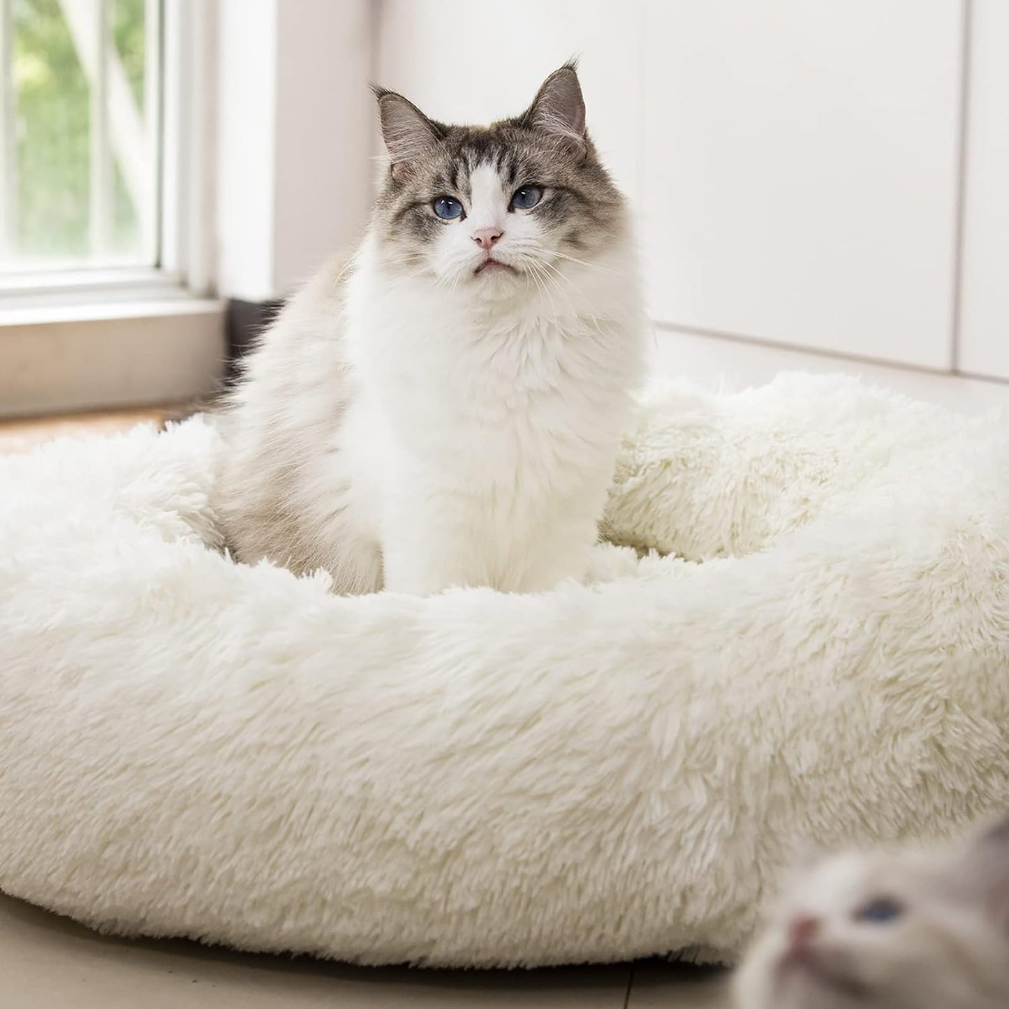 "Snuggle Cloud: The Fluffy Fortress of Furry Serenity for Pets Who Need a Nap and a Hug (20"/24"/27''), (27", White)"