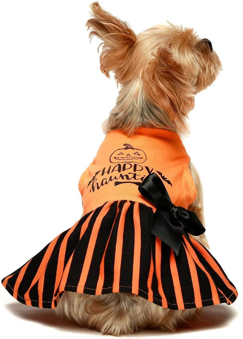 "Spooktacular Pup Couture: Orange Outfits for Furry Ghouls and Meow-velous Kitties!"