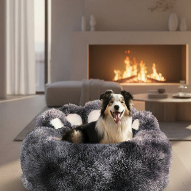 Dog lying on a fluffy gray pet bed with a white background