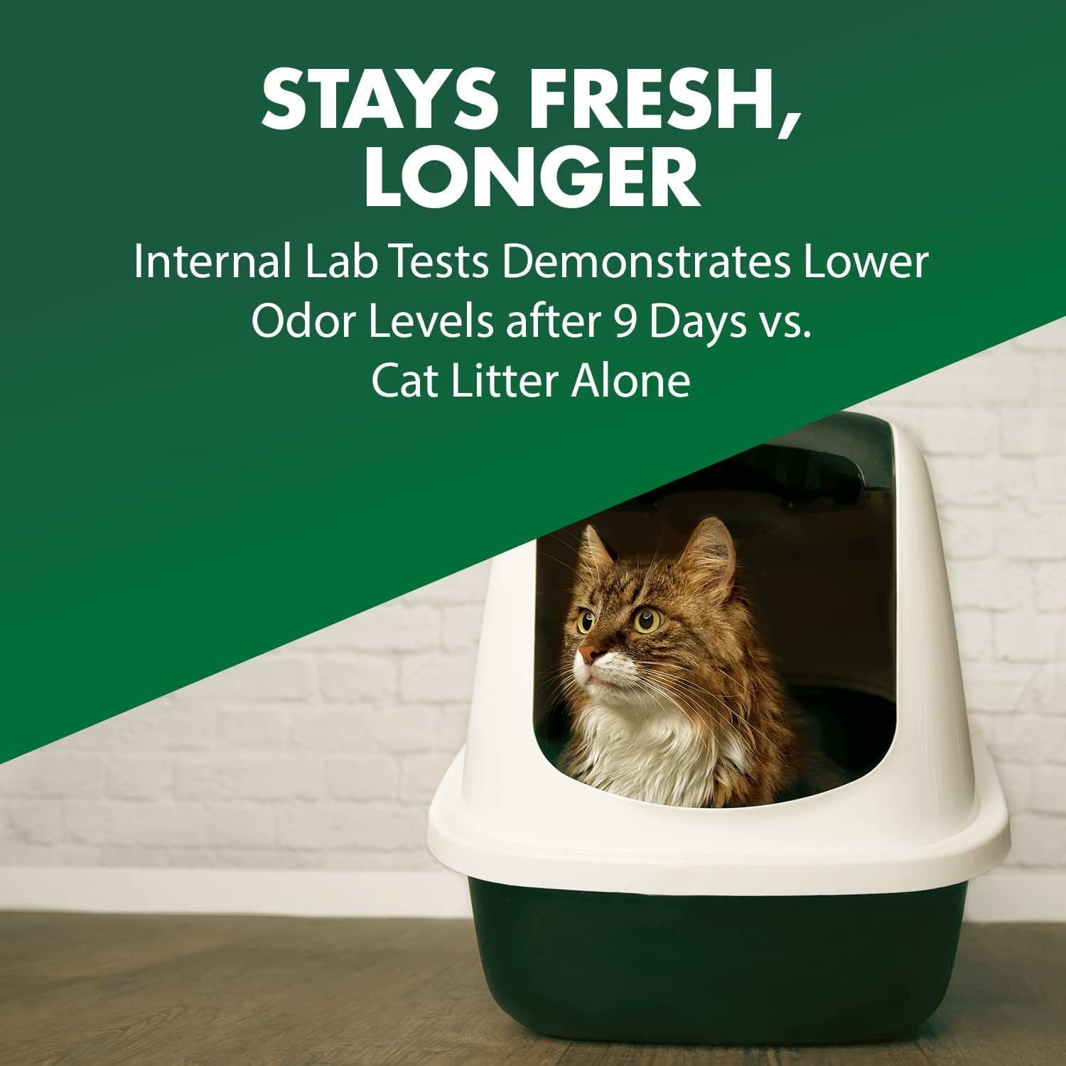 ```Paw-sitively Purr-fect Cat Litter Freshener: 20 Oz of Citrus Bliss for Your Feline's Throne Room (1.25 Pounds of "No More Stink")```