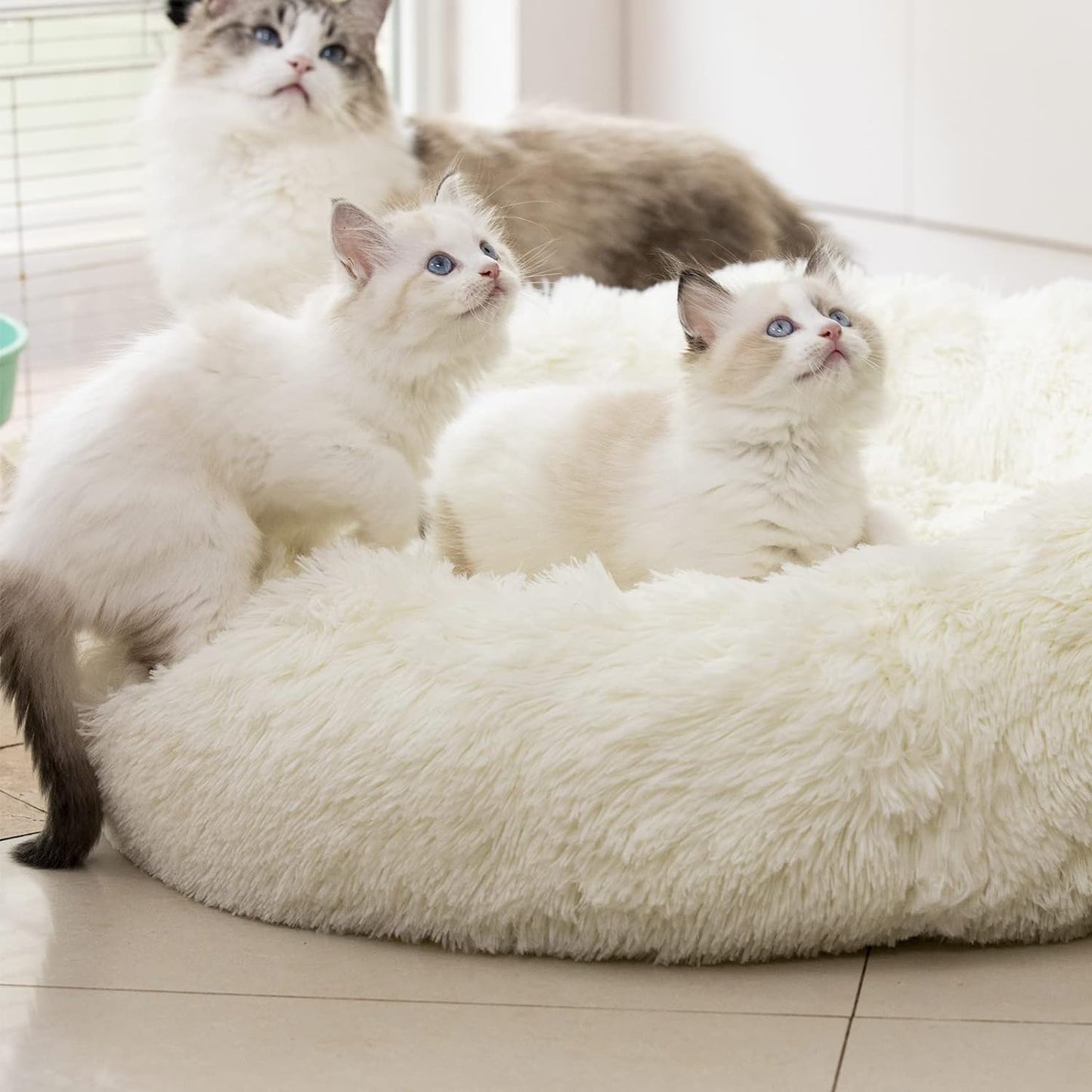 "Snuggle Cloud: The Fluffy Fortress of Furry Serenity for Pets Who Need a Nap and a Hug (20"/24"/27''), (27", White)"