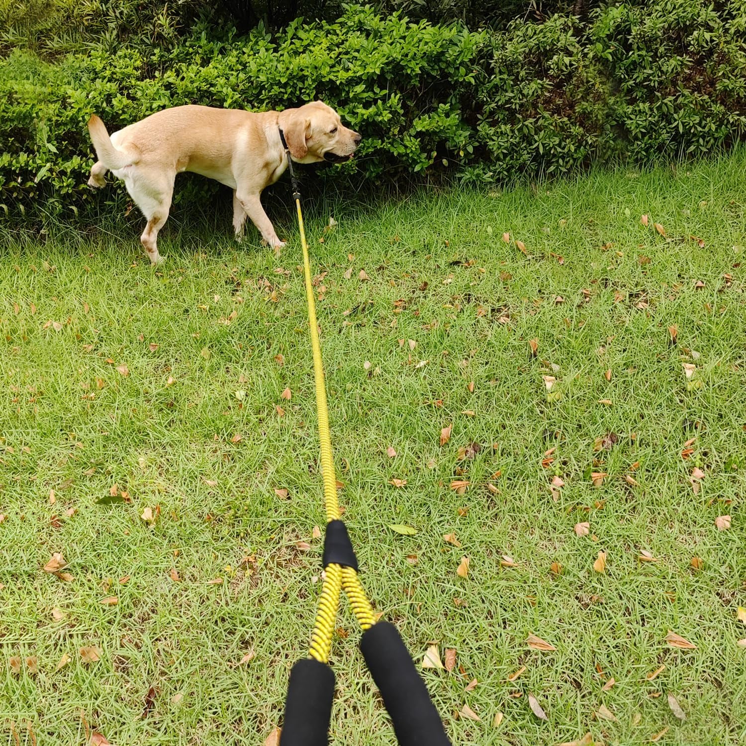 "Superhero Tug-of-War Rope: The Ultimate Leash for Your Four-Legged Sidekick – Available in Sizes from 'Just a Hop' to 'I Can’t Believe He’s Not Flying!'"