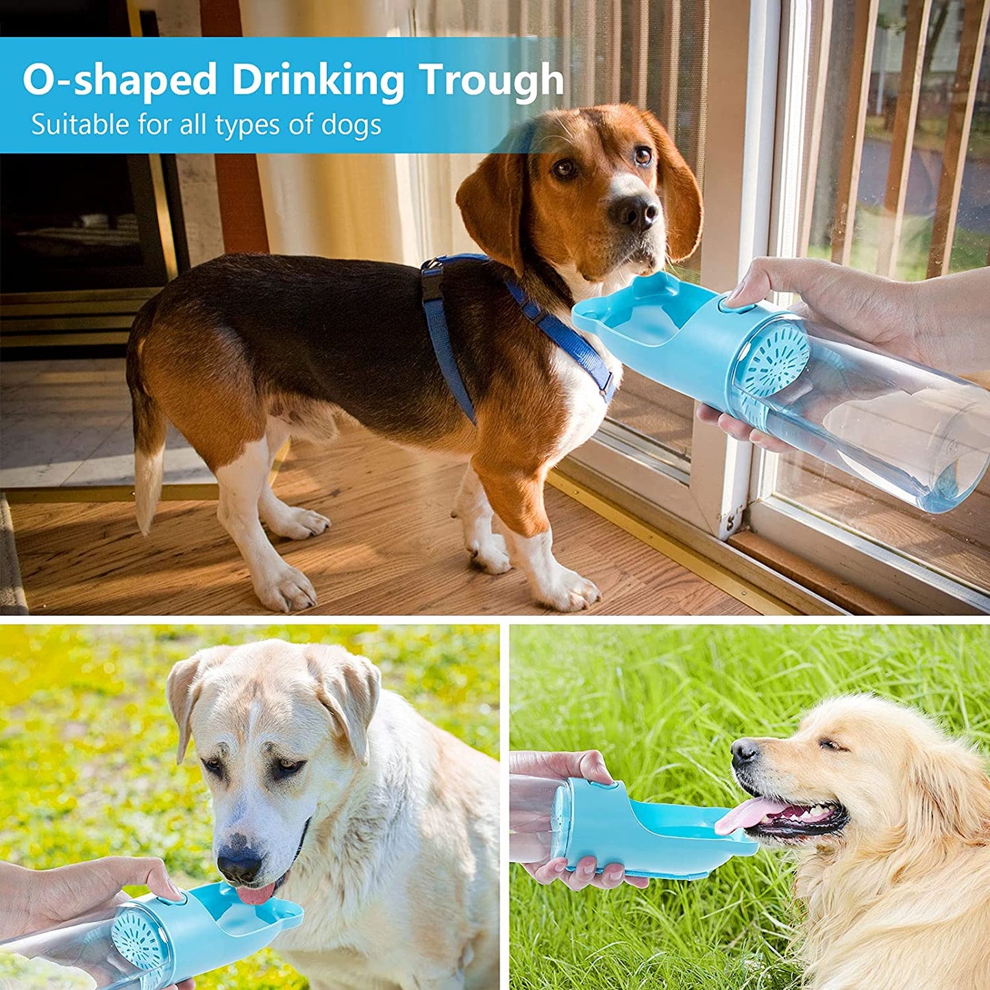 "Thirsty Pooch's Ultimate Hydration Station: The Portable Sippy Cup for Your Furry Hiker!"