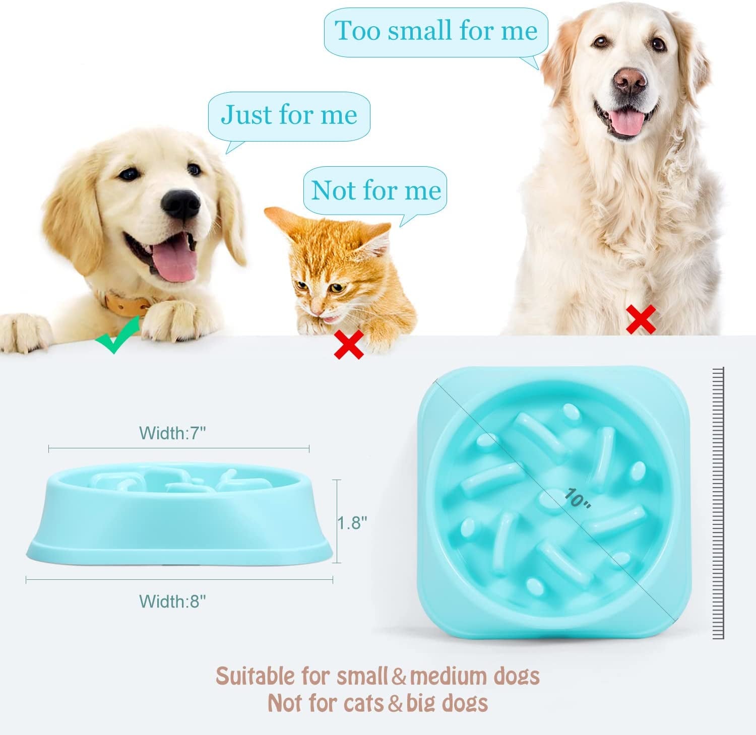 "Chow Down, Slowpoke! Eco-Friendly Dog Bowl That Says 'No' to Choking and 'Yes' to Healthy Belly Bloat Busters!"