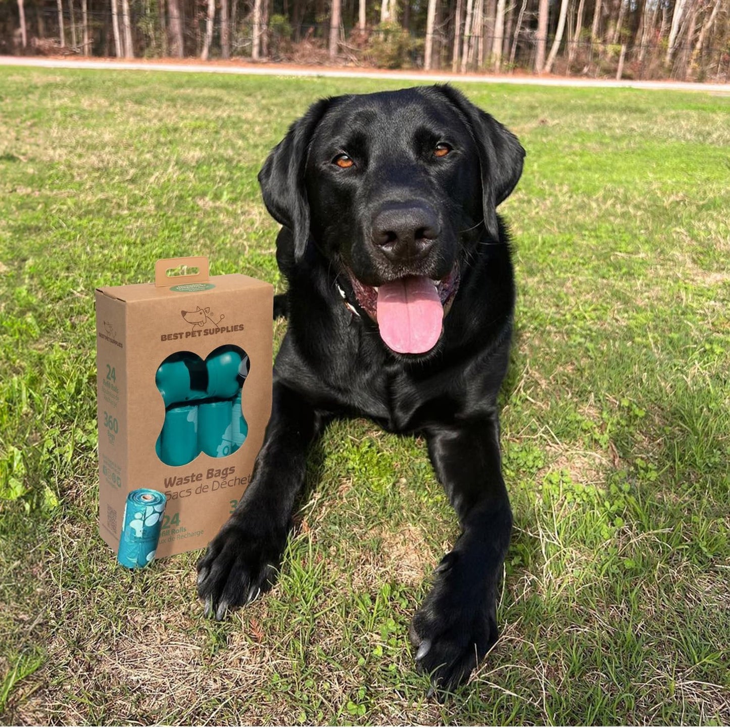 ```Paw-some Poop Pouches (360 Bags) for the Ultimate Doggy Doo-Doo Duty, Perfect for Pooch Parade and Adventure Time, Leak-Proof and Tougher than Your Ex's Excuses - Turquoise```