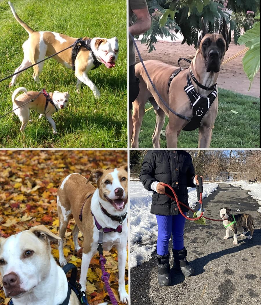 "Superhero Tug-of-War Rope: The Ultimate Leash for Your Four-Legged Sidekick – Available in Sizes from 'Just a Hop' to 'I Can’t Believe He’s Not Flying!'"